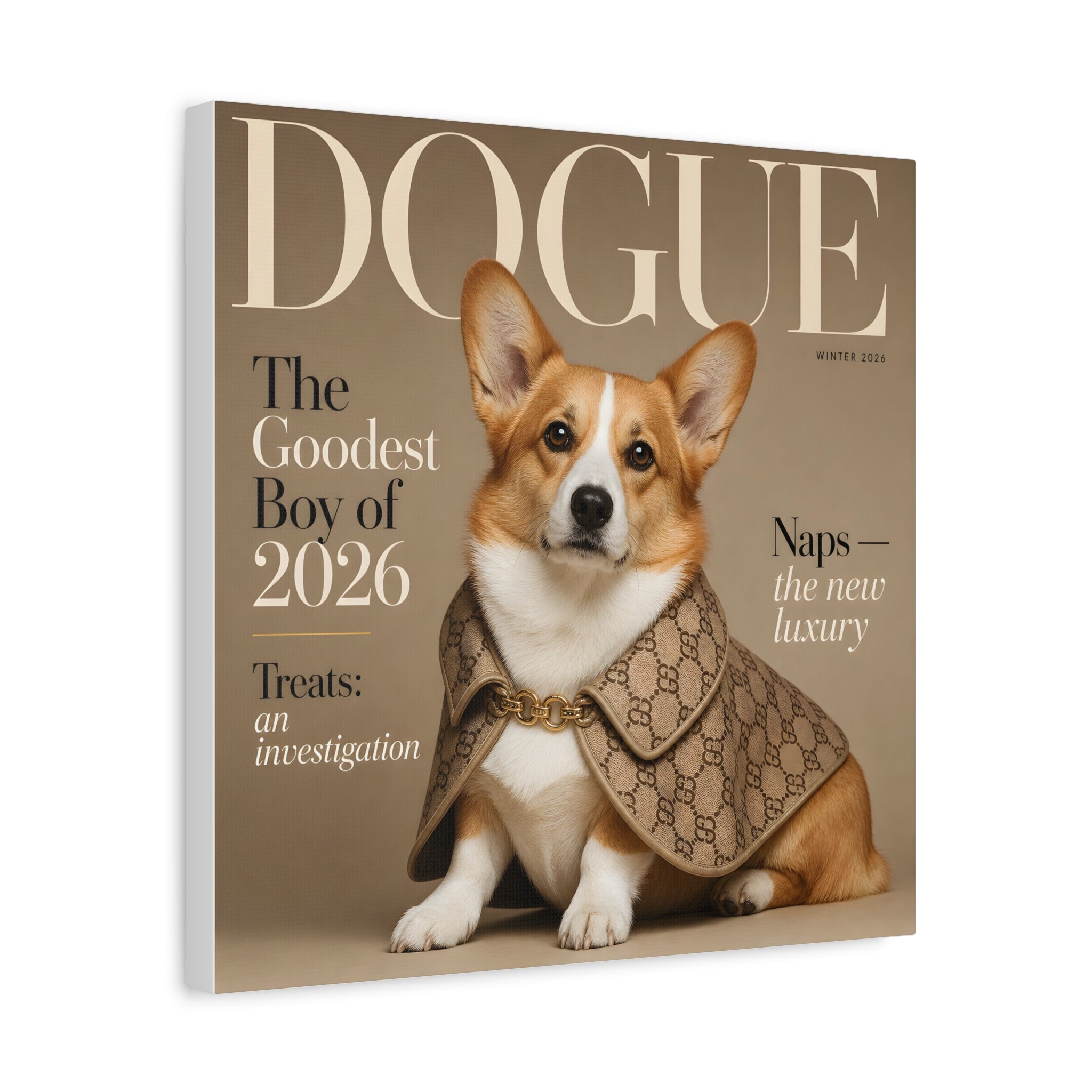 DOGUE — The Goodest Boy of 2026 | Corgi Canvas