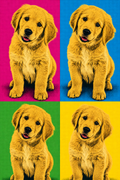 Custom pet portrait - Pop Art style on Unisex T-Shirt